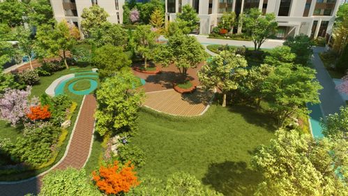 芒種好時(shí)光,河畔自清涼